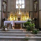 Olomouc, katedrála sv. Václava, 2005, soutěž v květinové výzdobě kostelů, 1. místo